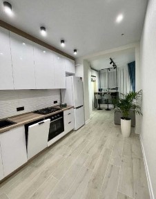 Київська область, Софіївська Борщагівка