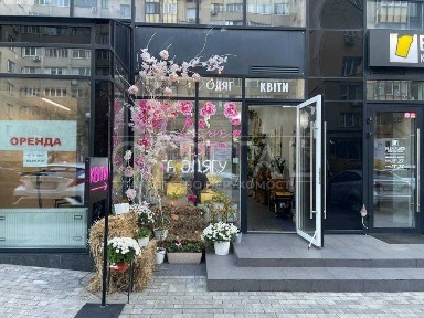 Київська область, Київ, Оболонський