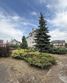 Здається в оренду великий будинок. Осокорки, м. Славутич 3 км.