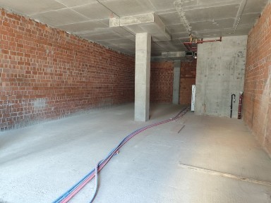 Київська область, Київ, Шевченківський