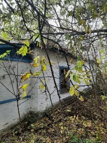 Будинок та земля 0,567 га