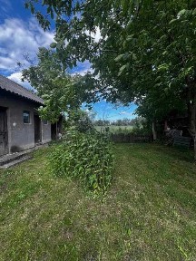 Продаж будинку з великою ділянкою в с. Кагуїв