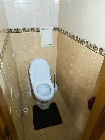 Київська область, Київ, Шевченківський