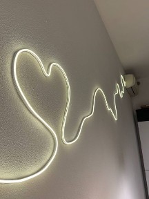 Харківська область, Харків, Шевченківський