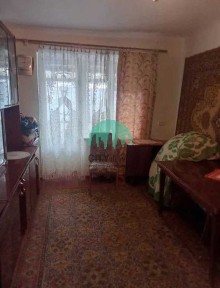 Здається 2-кімнатна квартира в Центрі. Можна з деякими тваринками (38)