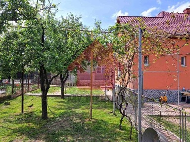 Закарпатська область, Ужгород