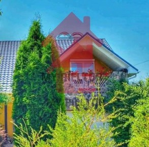 Продається будинок біля Ужгорода