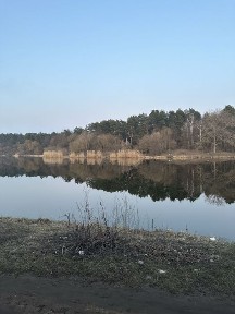 Здається однокімнатна квартира в районі Льотної