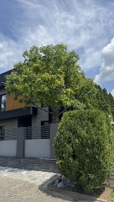 Будинок на Дослідній станції