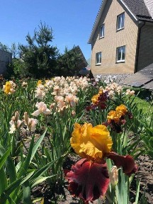 Харківська область, Мерефа