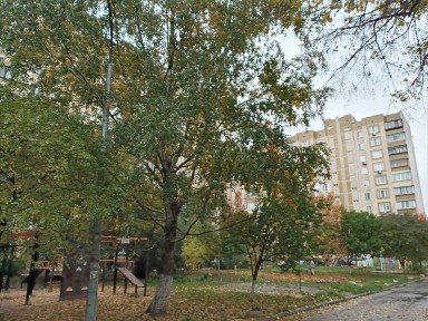 Київська область, Київ, Подільський