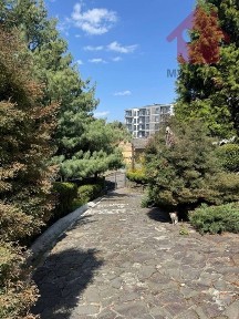 Закарпатська область, Ужгород