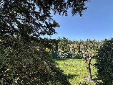 Київська область, Велика Олександрівка