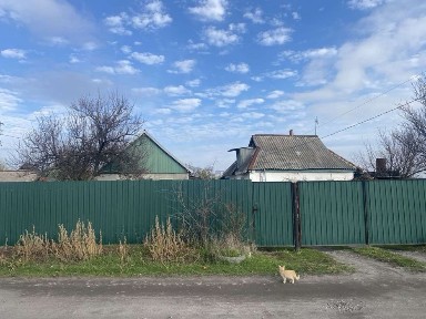 Продам дом с. Дмитровка, Днепропетровская обл. с большим участком