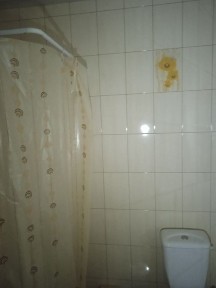 Військовим здається в довгострок оренду євробудинок з каміном (доба550)