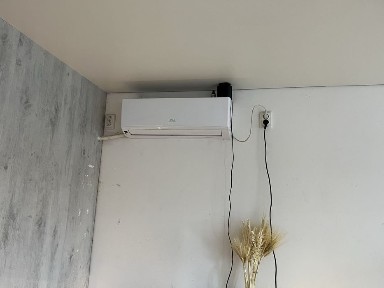 Здається в оренду (МАФ)