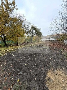 Черкаська область, Умань