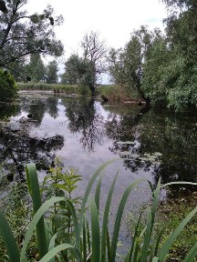 Будинок с. Матвіївка, 150 км від Києва (під виплату чи обмін на авто)