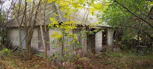 Продам дом в Подорожнем