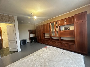 Київська область, Київ, Голосіївський