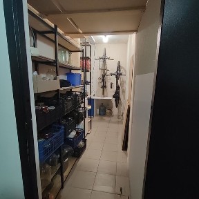 Київська область, Київ, Деснянський