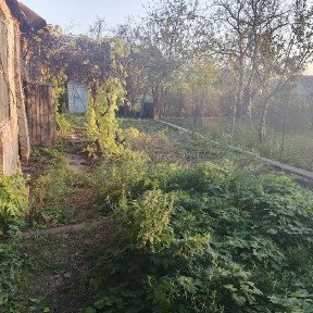 Продаю добротный кирпичный дом пос Высокий, Мерефа, Южный