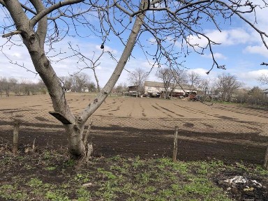 Будинок та земельна ділянка с. Михайлівка Жмеринський р-н