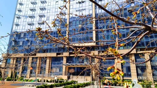 Одеська область, Фонтанка