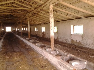 Рівненська область, Великий Стидин