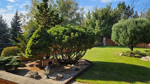 Продам затишний будинок розташований в парковій зоні з чудовими видами