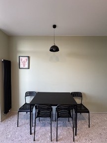 Київська область, Ірпінь