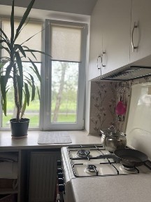 Закарпатська область, Мукачево