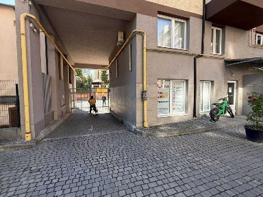 Львівська область, Львів, Шевченківський