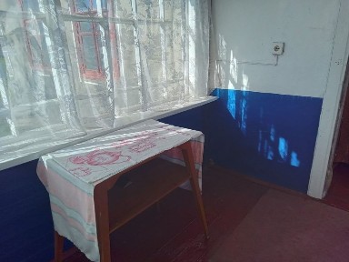 Продам будинок за Одесою Камянка