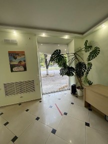 Дніпропетровська область, Дніпро, Центральний