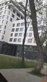 Львівська область, Львів, Шевченківський