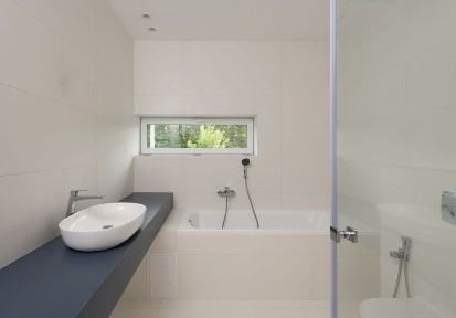 Київська область, Гореничі