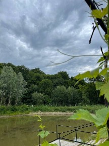 Продаж котеджу, готовий готельний бізнес