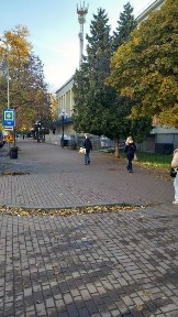 Київська область, Вишневе