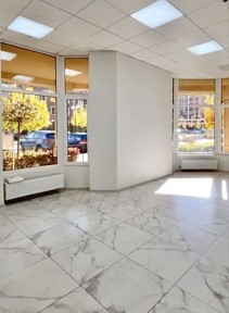 Київська область, Софіївська Борщагівка