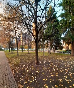 Київська область, Київ, Солом'янський