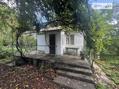 Продаж 1 поверхового будинку з ділянкою на 30 соток, 24.3 кв. м, 1 кімната, на вул. Шкільна • ID 33532626