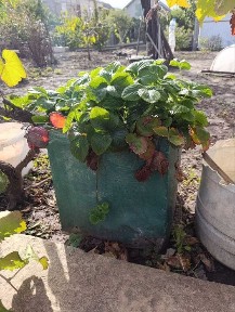 Дом, где каждое утро начинается с вдохновения