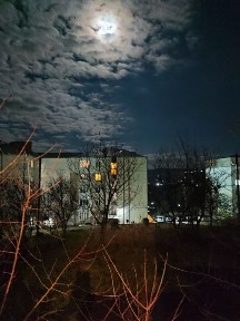 Продаж 4-кімнатної квартири в м. Старий Самбір