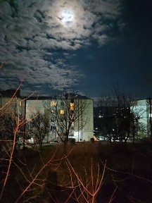 Львівська область, Старий Самбір