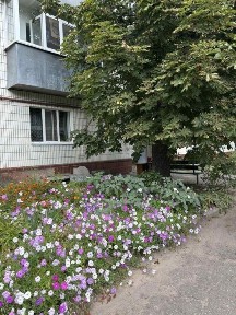 Сумська область, Суми