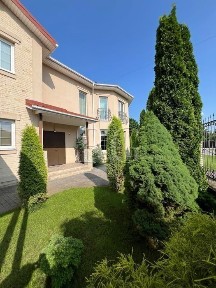 Київська область, Старі Петрівці