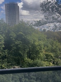 Київська область, Київ, Шевченківський