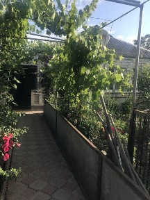 Продається два будинки на одній ділянці