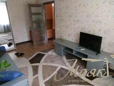 Оренда однокімнатної квартири, Малий ринок